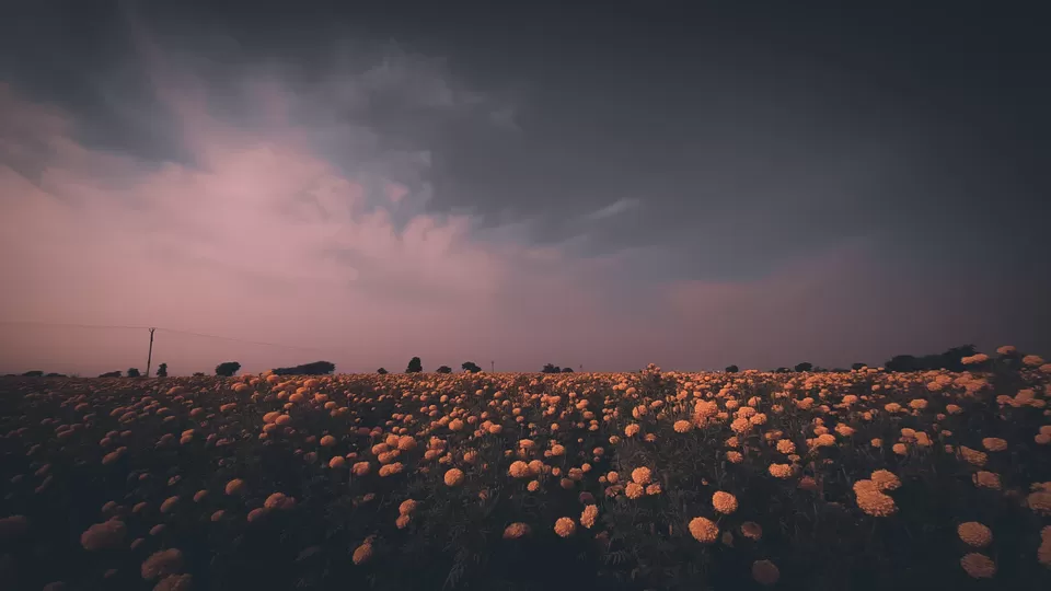 Photo of Rajasthan by Abhishek Yogi