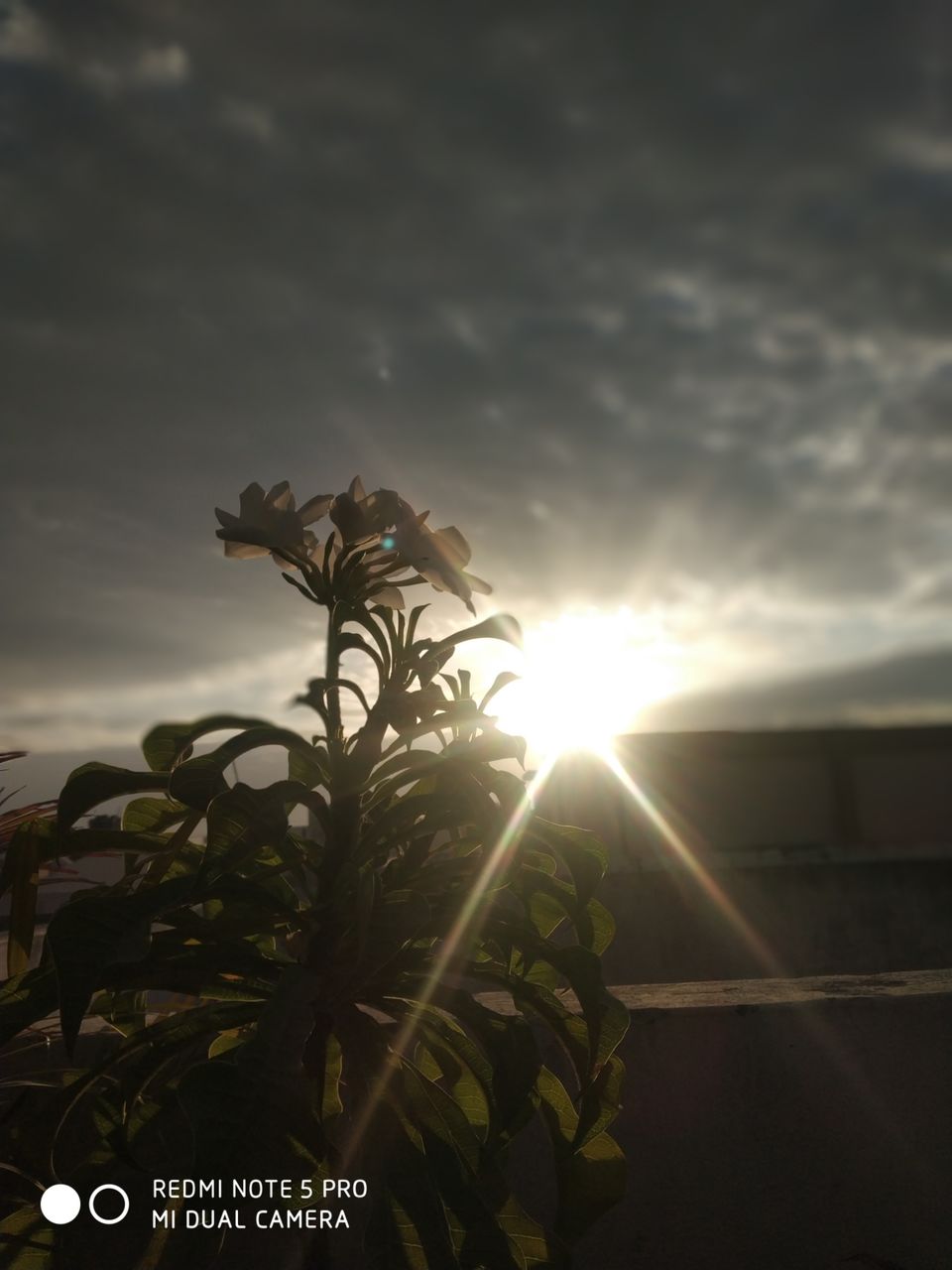 Photo of First step to 2021 by Abhishek Yogi