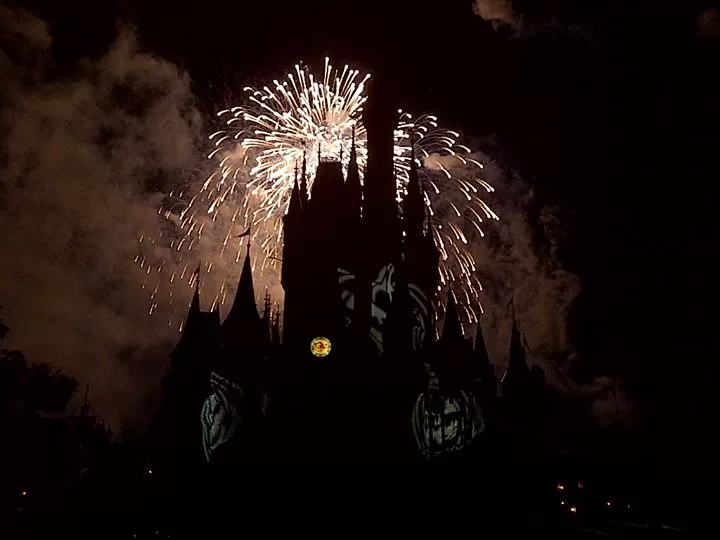 Photo of Walt Disney World Resort, Orlando, FL, United States by Banjara