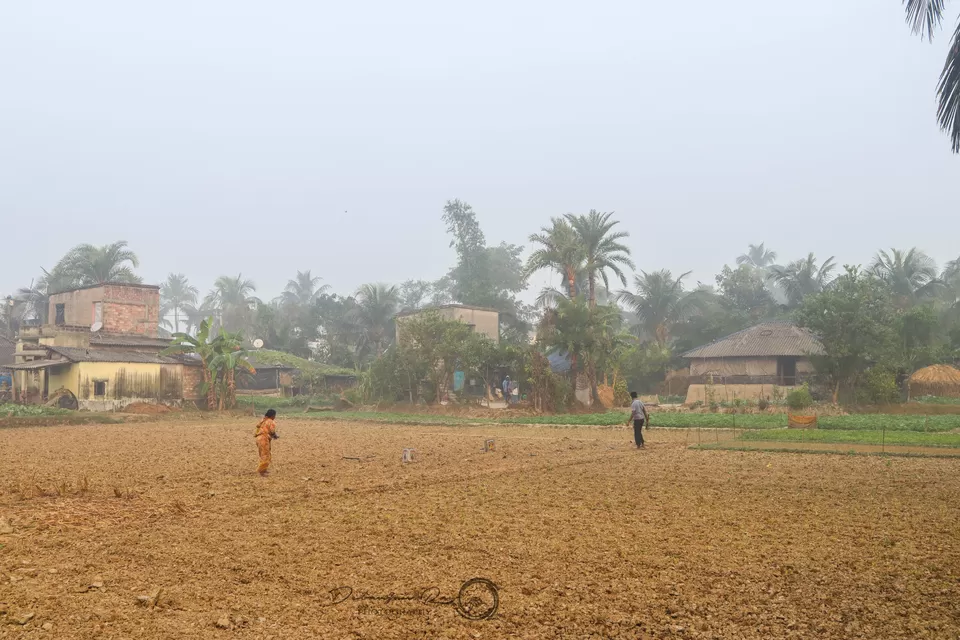 Photo of Pakhiralay, West Bengal, India by Debanjan Ray