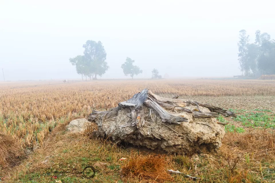 Photo of Pakhiralay, West Bengal, India by Debanjan Ray