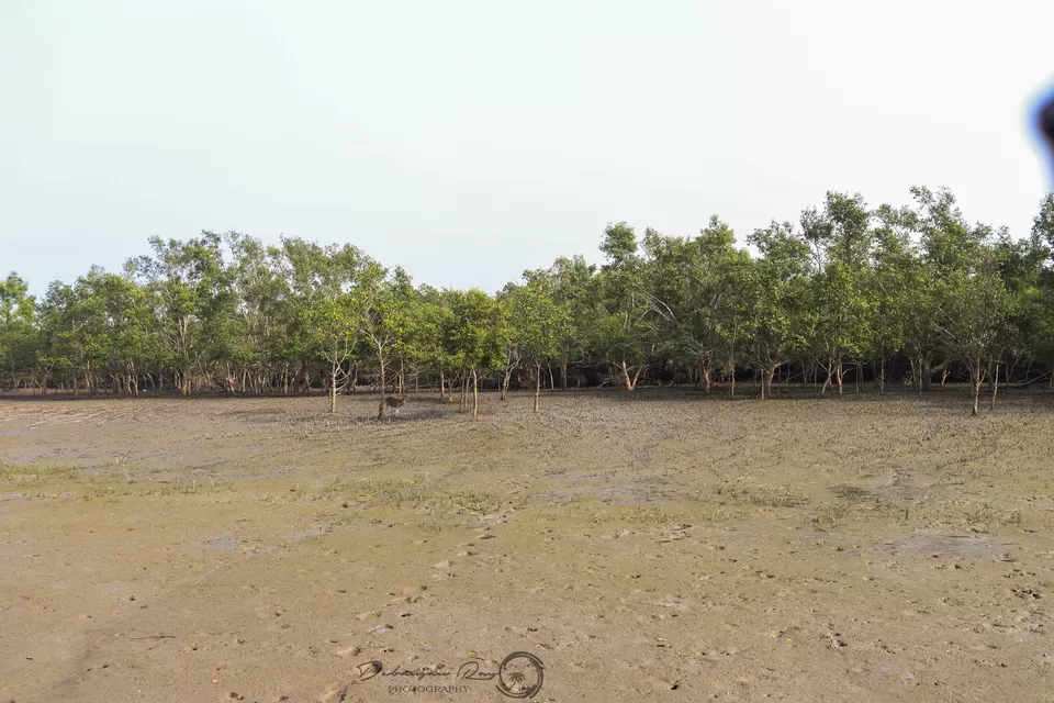 Photo of DOBANKI WATCH TOWER, DOBANKI, West Bengal, India by Debanjan Ray