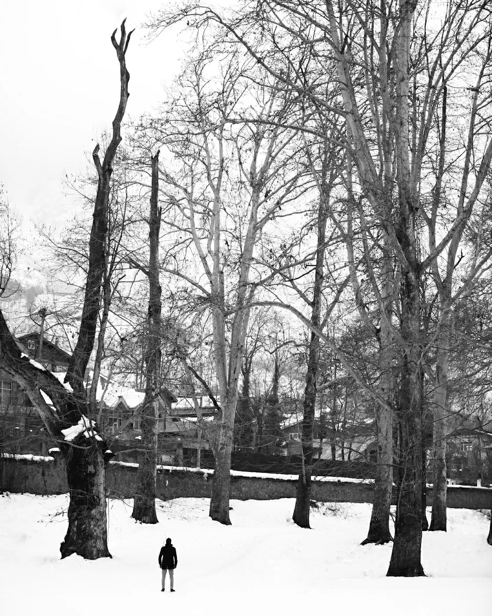 Photo of Jammu and Kashmir by Faizan Khurshid