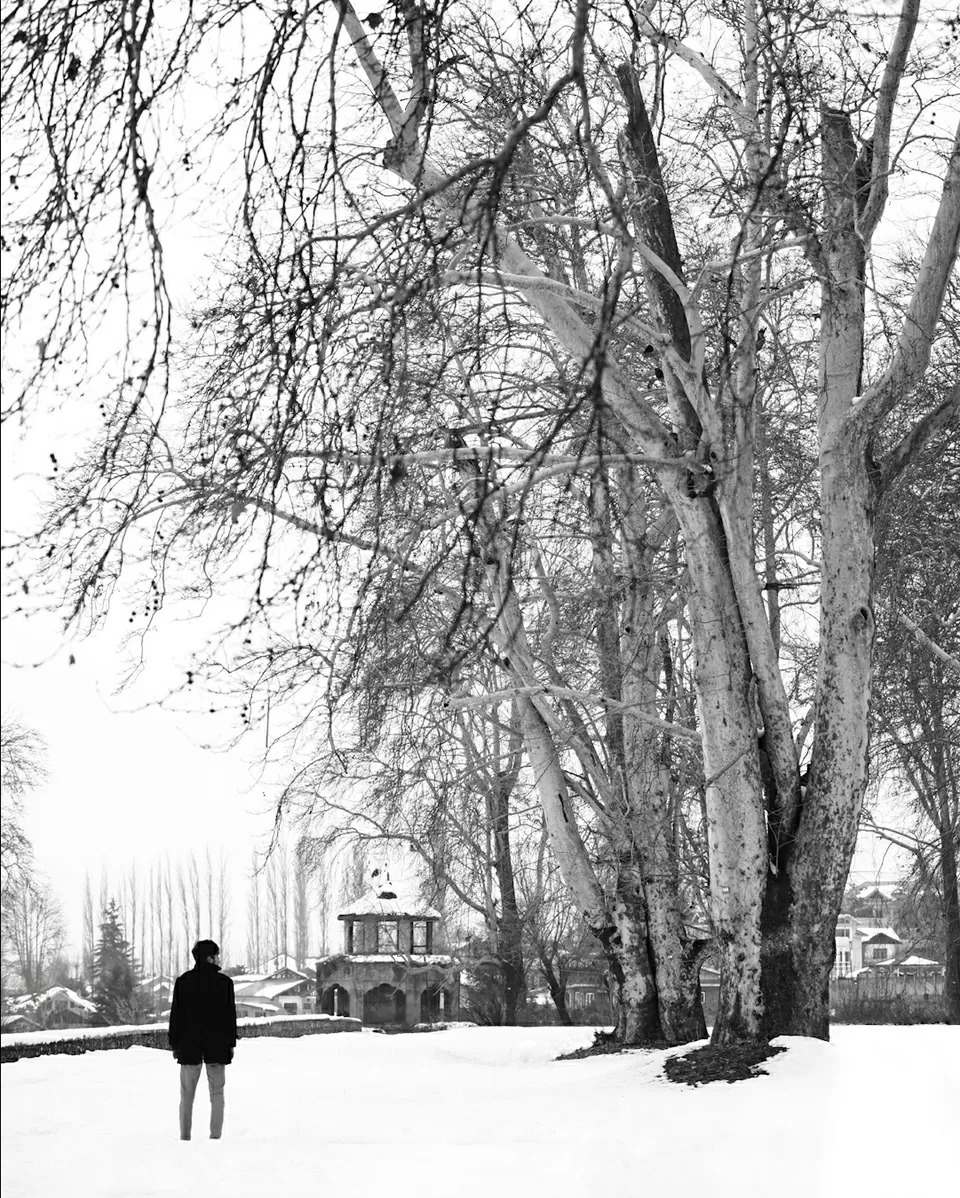 Photo of Jammu and Kashmir by Faizan Khurshid