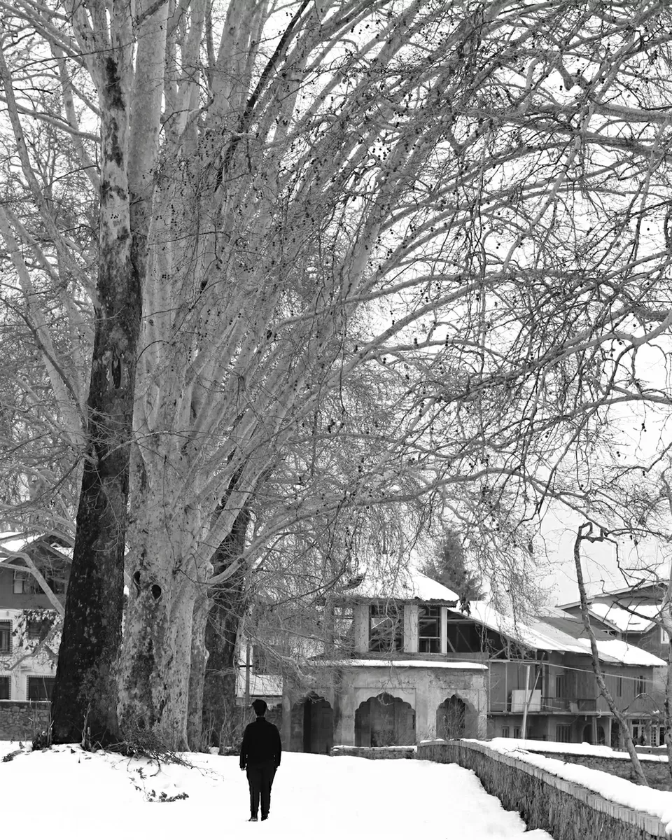 Photo of Jammu and Kashmir by Faizan Khurshid