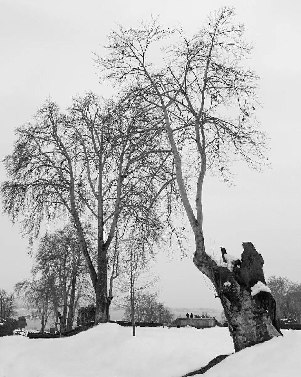 Photo of Jammu and Kashmir by Faizan Khurshid