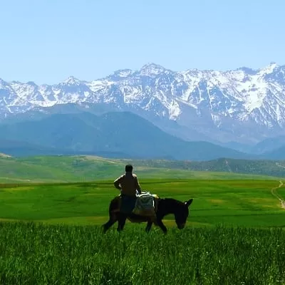 Photo of Marrakech by Atlas Mountains Travel