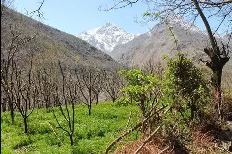 Photo of Marrakech by Atlas Mountains Travel