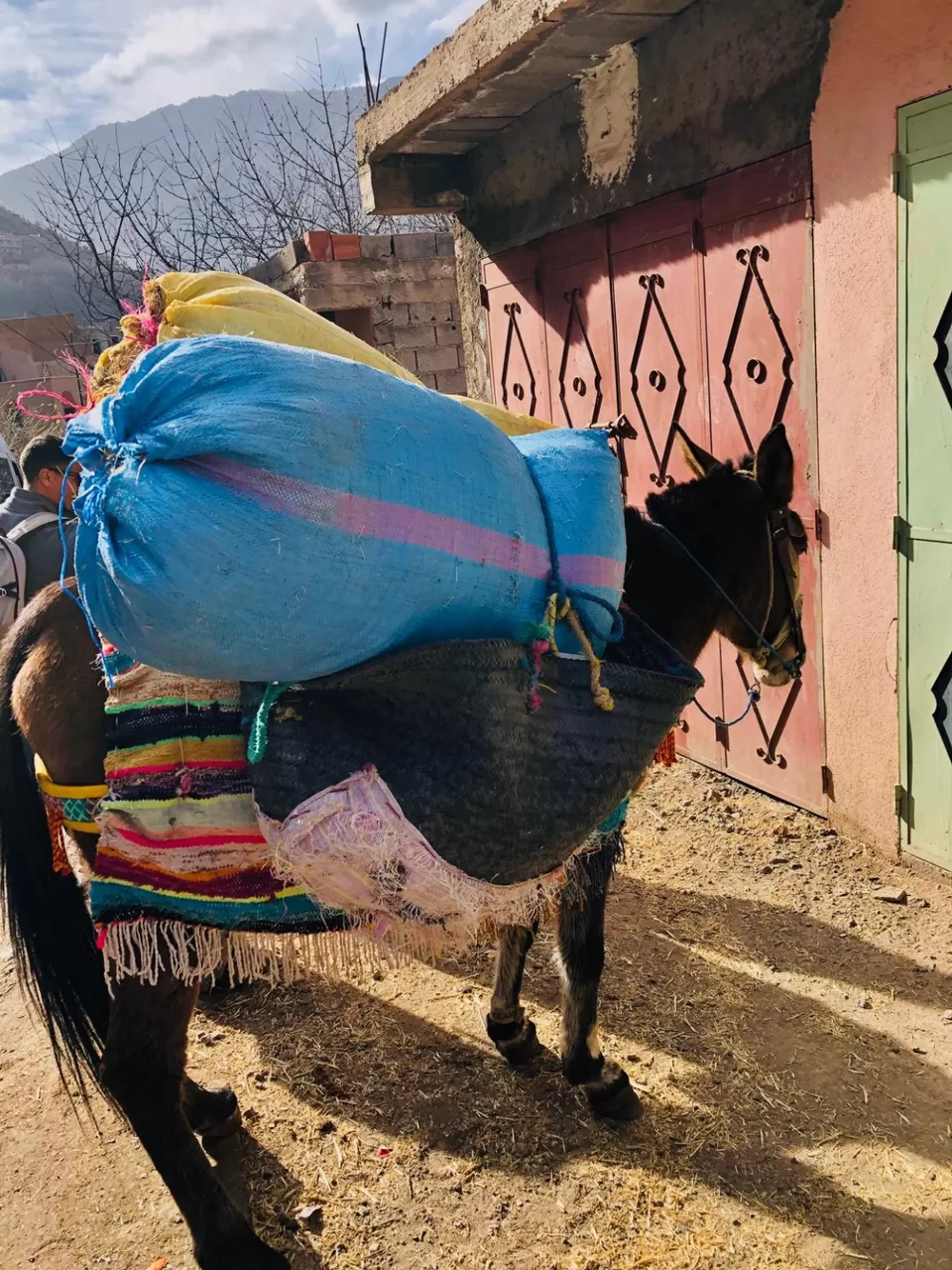 Photo of Marrakech by Atlas Mountains Travel