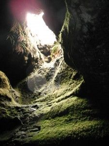 Photo of Three places to hike in a Lava Cave 3/3 by Justin