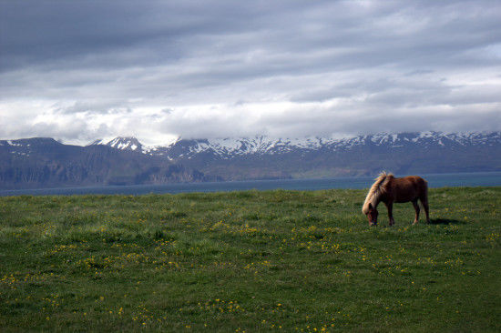 Photo of An Adventurous, Active Itinerary for Iceland 14/17 by Justin