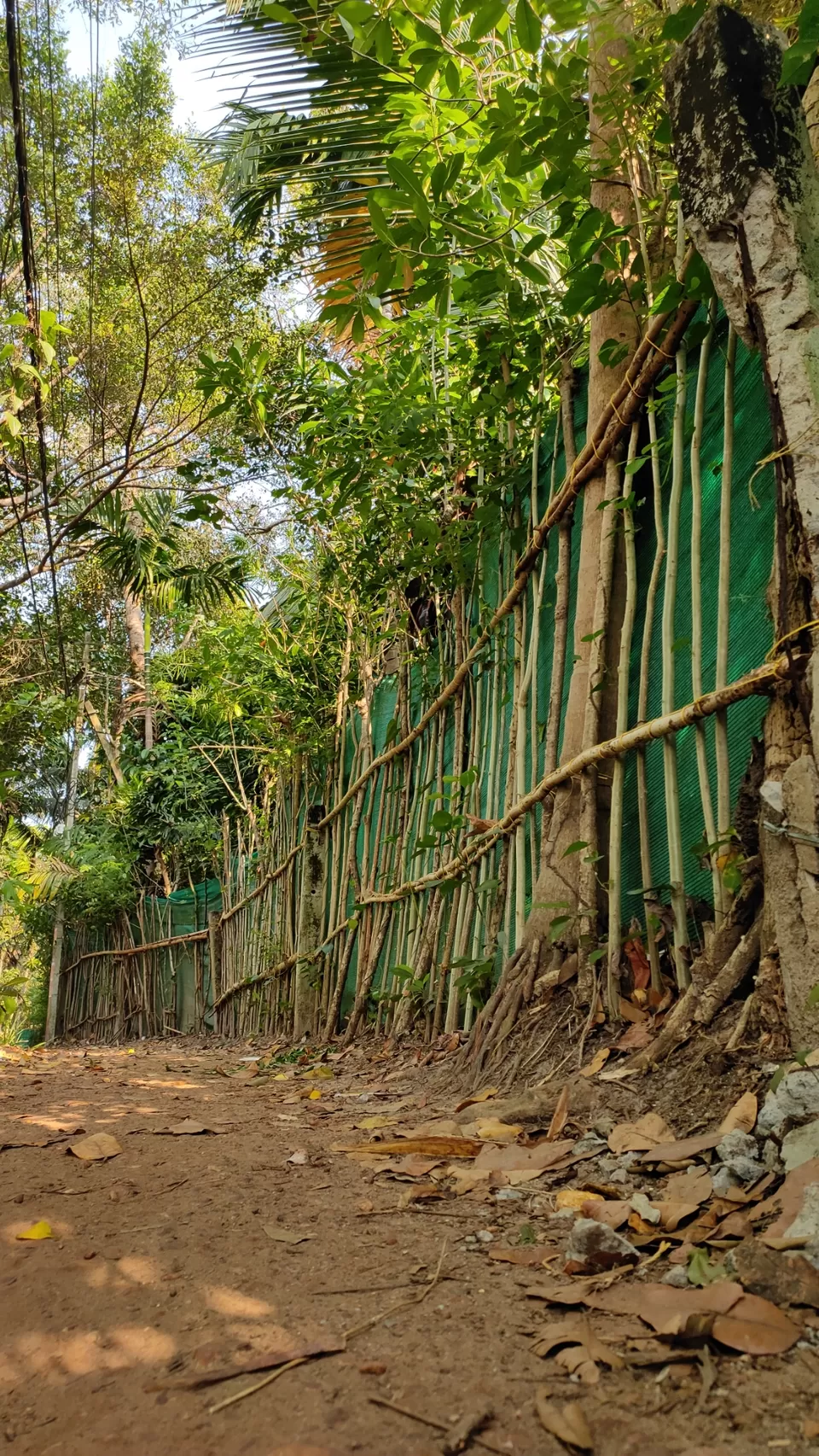 Photo of A day of my life by wanderwithash