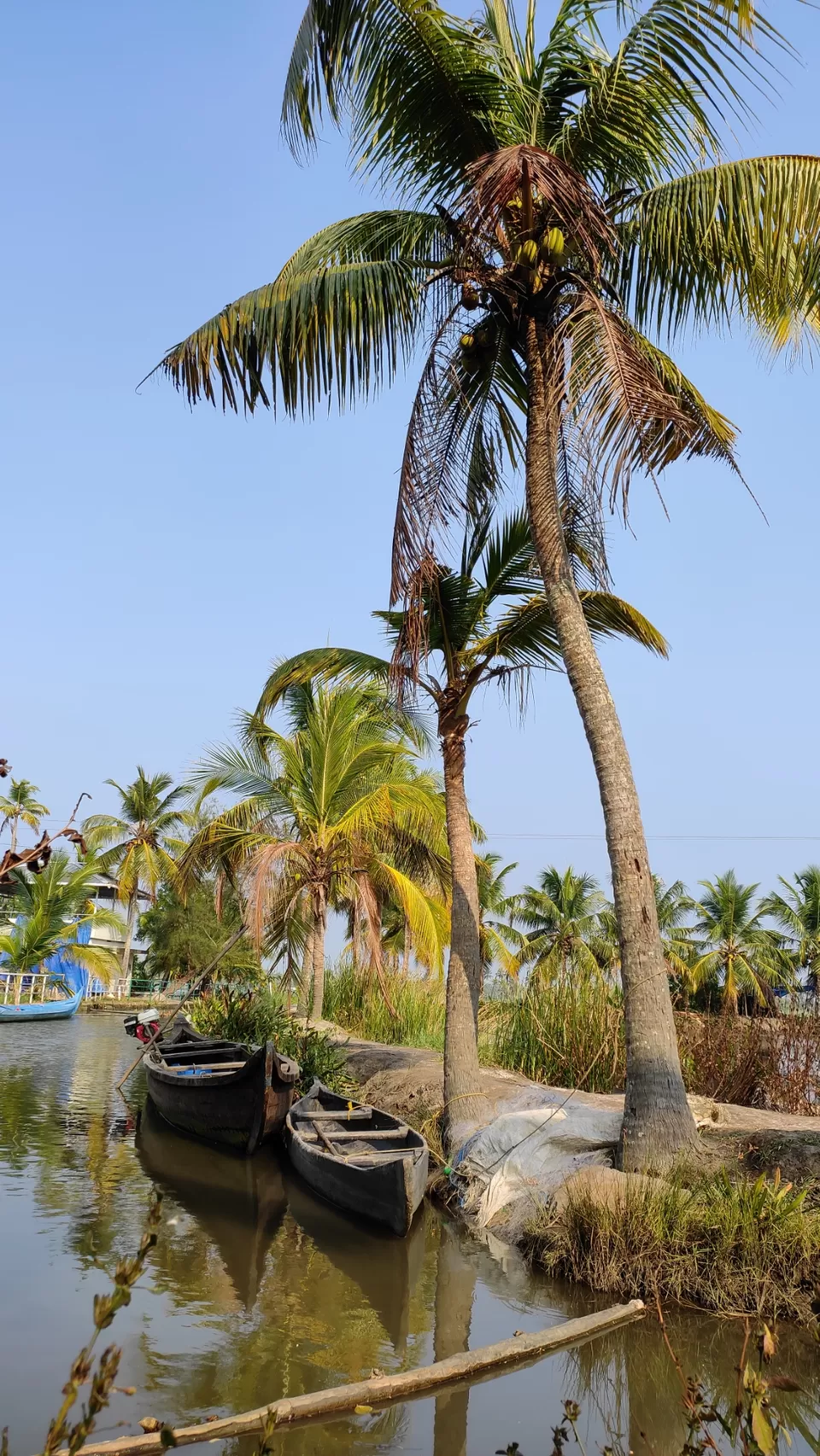 Photo of A day of my life by wanderwithash