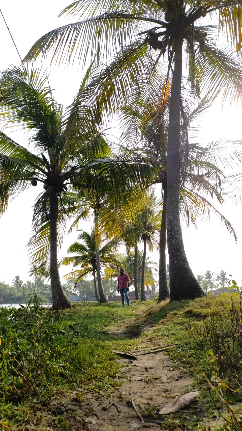 Photo of A day of my life by wanderwithash