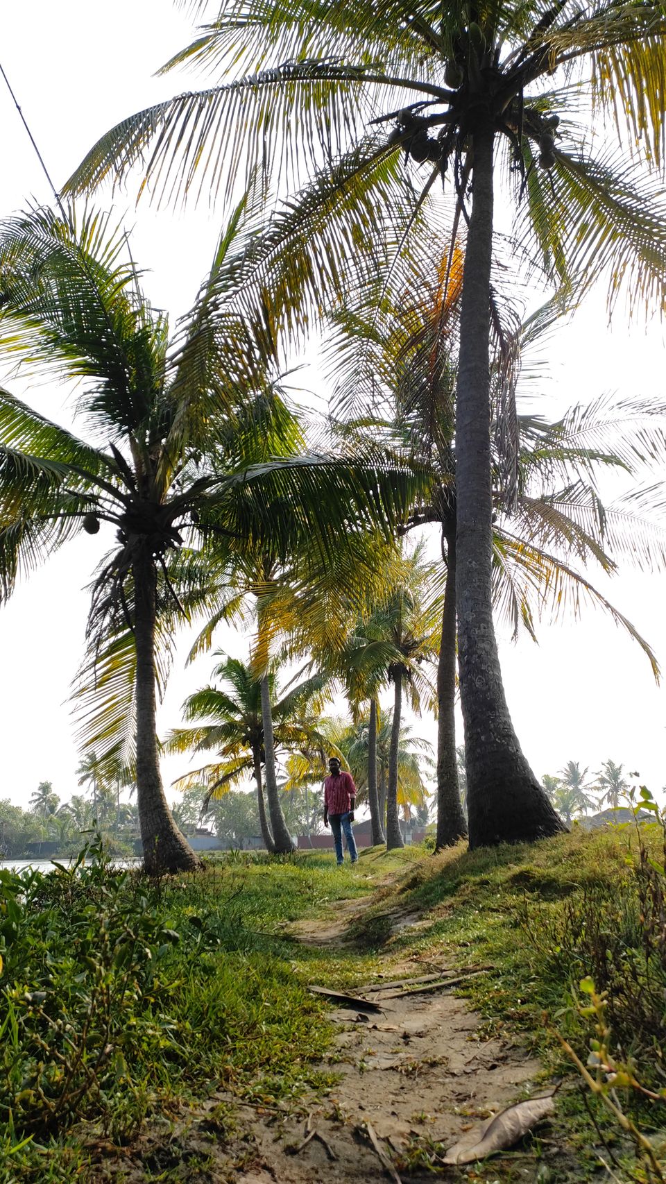 Photo of A day of my life by wanderwithash