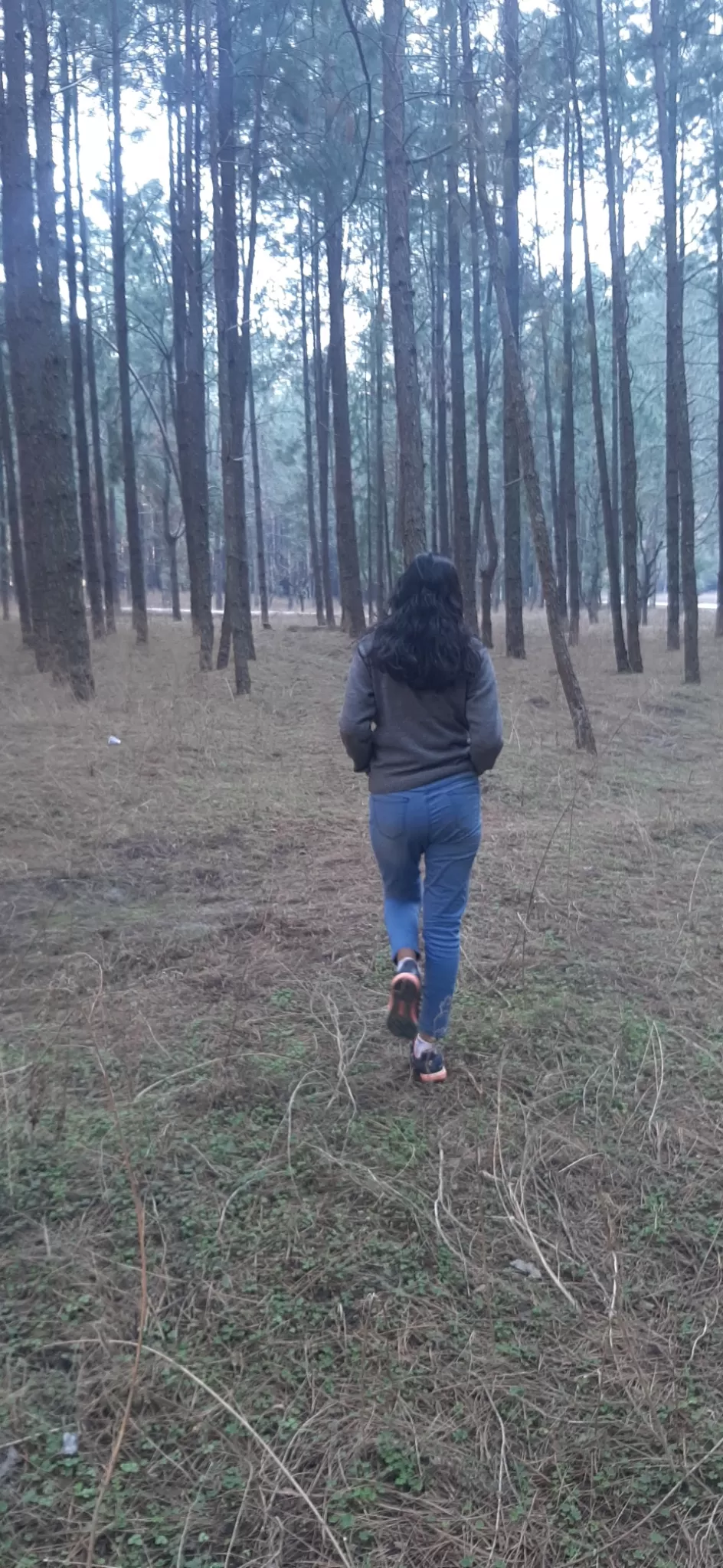 Photo of Hanol by amar nath tiwari