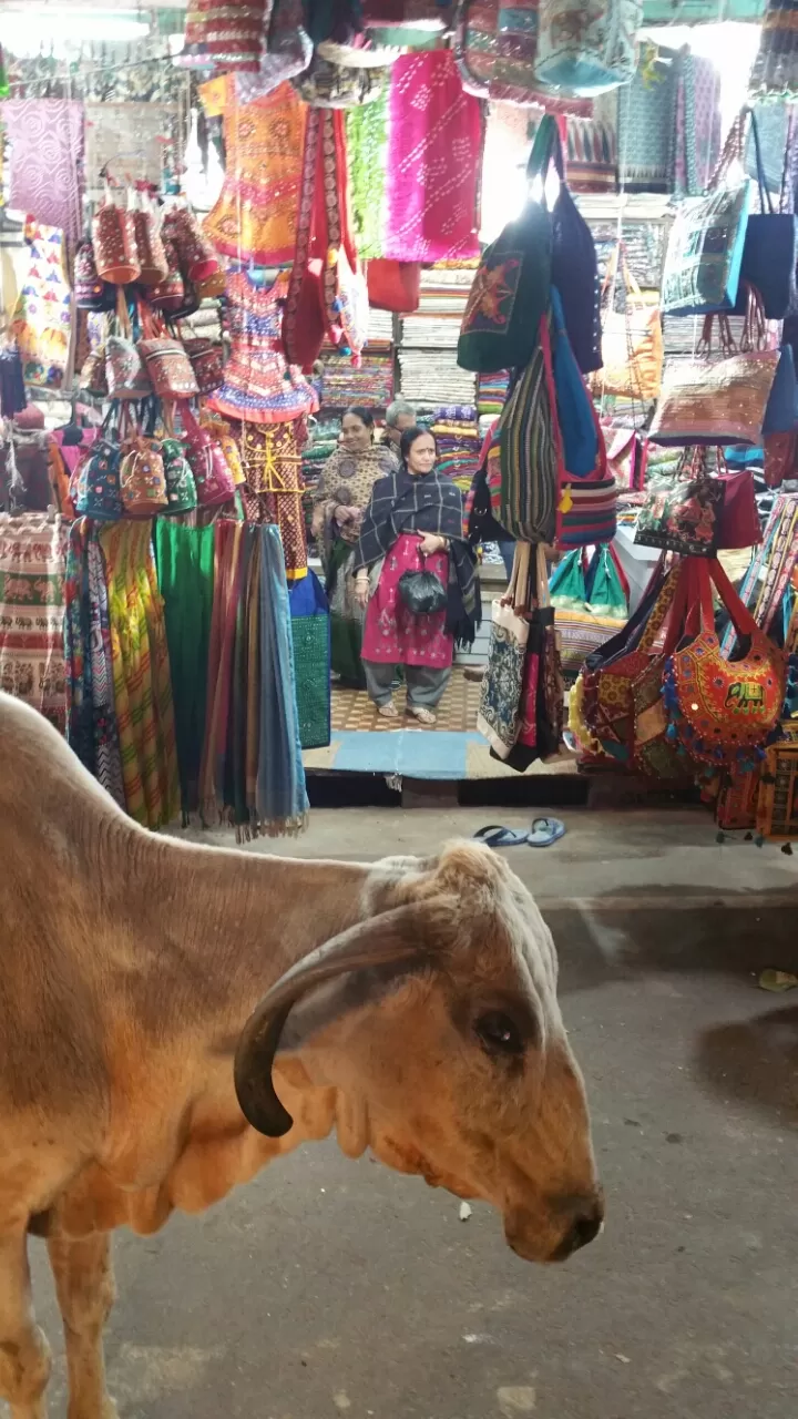 Photo of Pushkar, Rajasthan, India by Murtaza Zoomkawala