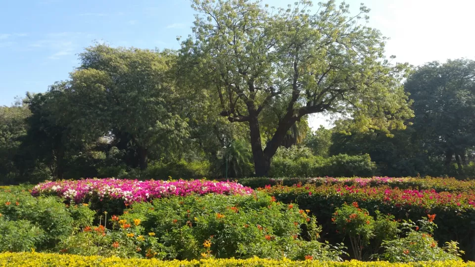 Photo of Jodhpur, Rajasthan, India by Murtaza Zoomkawala