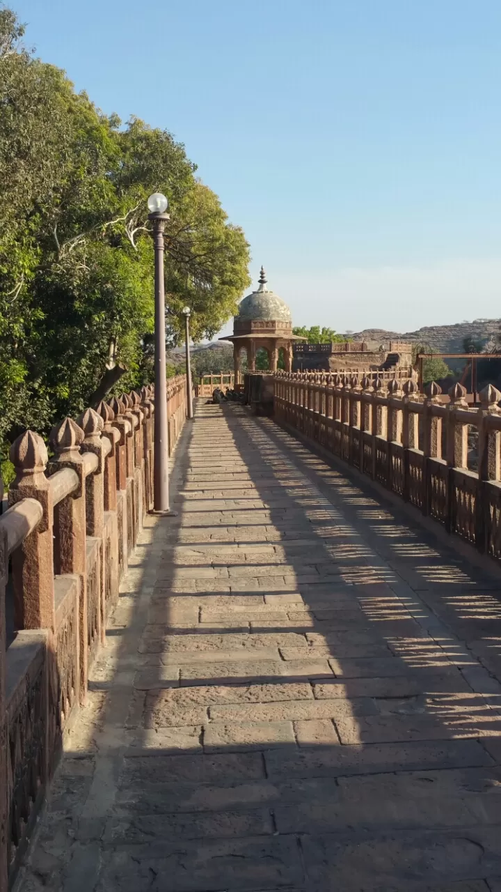 Photo of Jodhpur, Rajasthan, India by Murtaza Zoomkawala