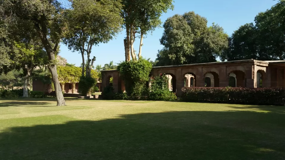 Photo of Jodhpur, Rajasthan, India by Murtaza Zoomkawala