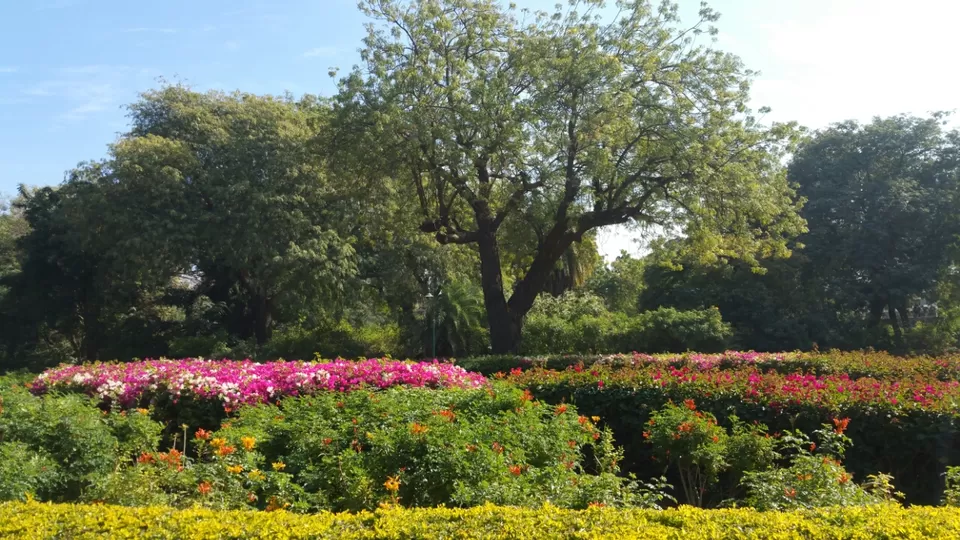 Photo of Jodhpur, Rajasthan, India by Murtaza Zoomkawala