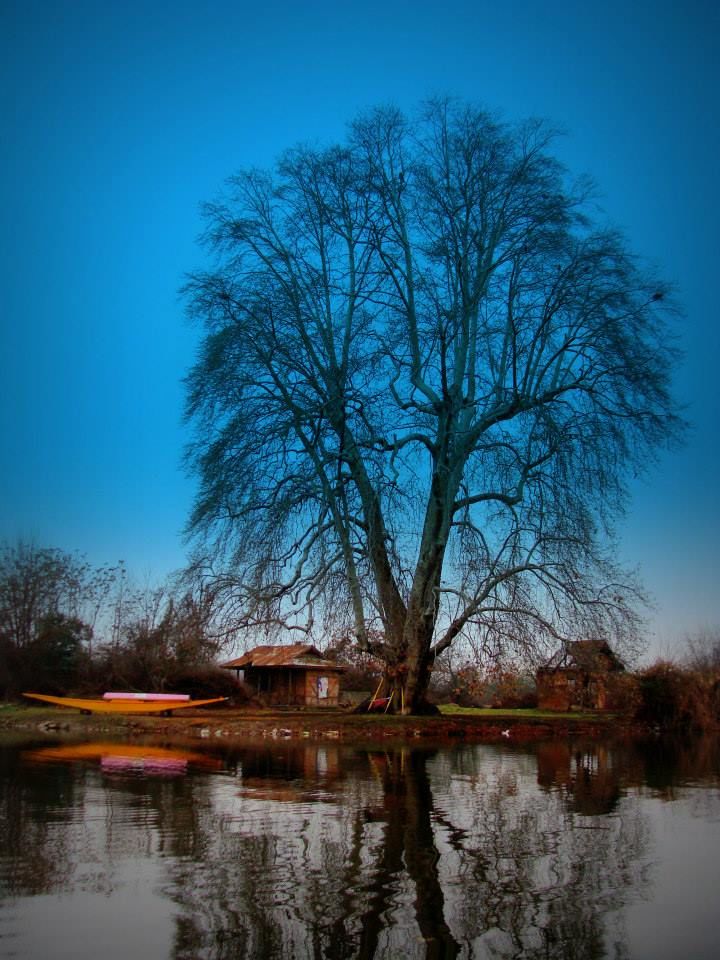 Photo of KASHMIR - Gar firdaus baruhe zamin ast , Hamin asto Hamin asto Ha 19/37 by HappyBanjaras