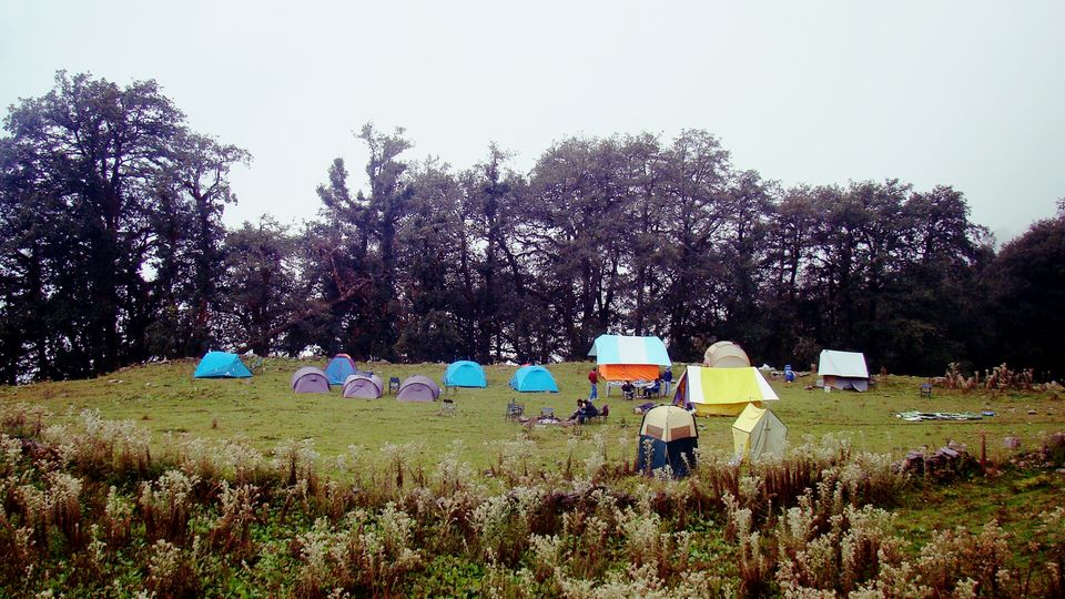 Photo of Solo Trek to Nagtibba: A Unique Encounter With Myself! 2/5 by Neha Rajpal