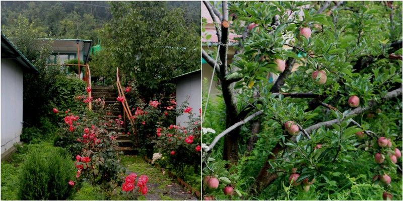 Photo of Where divinity meets adventure (Valley of Flowers-Hemkund Sahib-Badrinath-Haridwar) by Neha Rajpal
