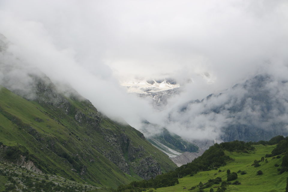 Photo of Where divinity meets adventure (Valley of Flowers-Hemkund Sahib-Badrinath-Haridwar) by Neha Rajpal