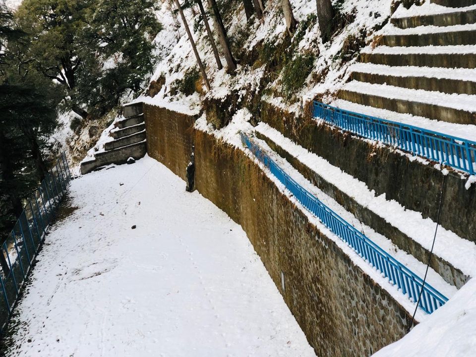 Photo of All i want SNOW by Shreya Rajput