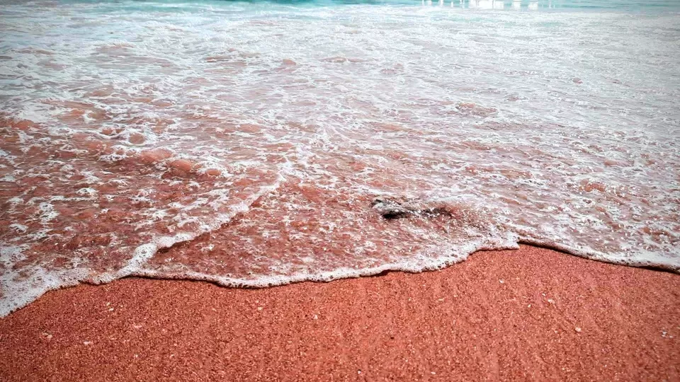 Photo of Goa by JEET BISWAS