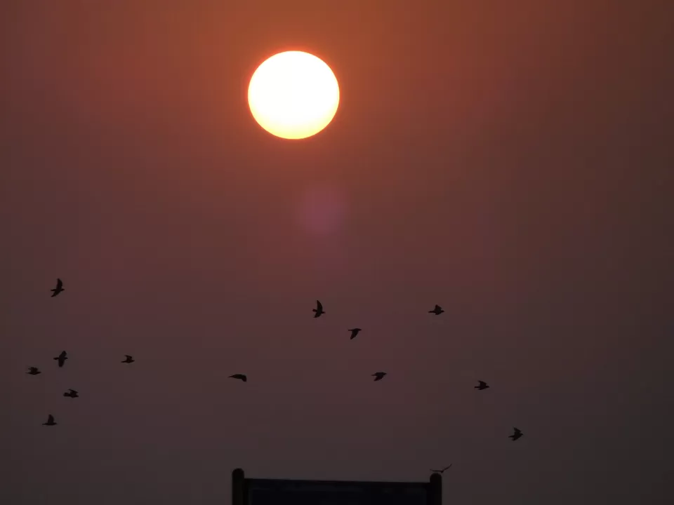 Photo of Souvenirs of the day. #goa #sea #travel #tripoto by JEET BISWAS