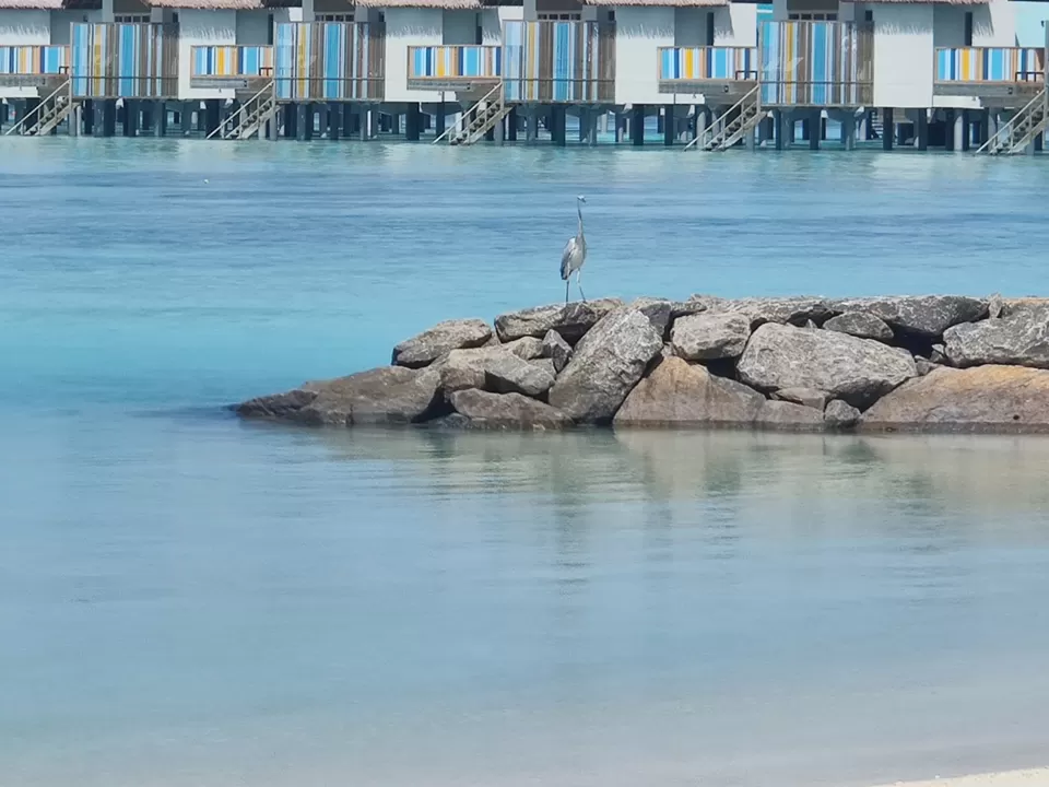 Photo of Maldives by akshay kumar