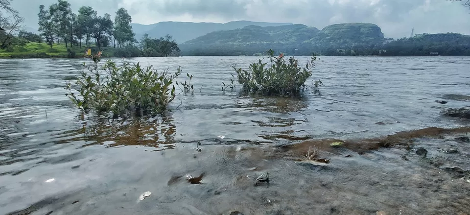 Photo of Tamhini Ghat by akshay kumar