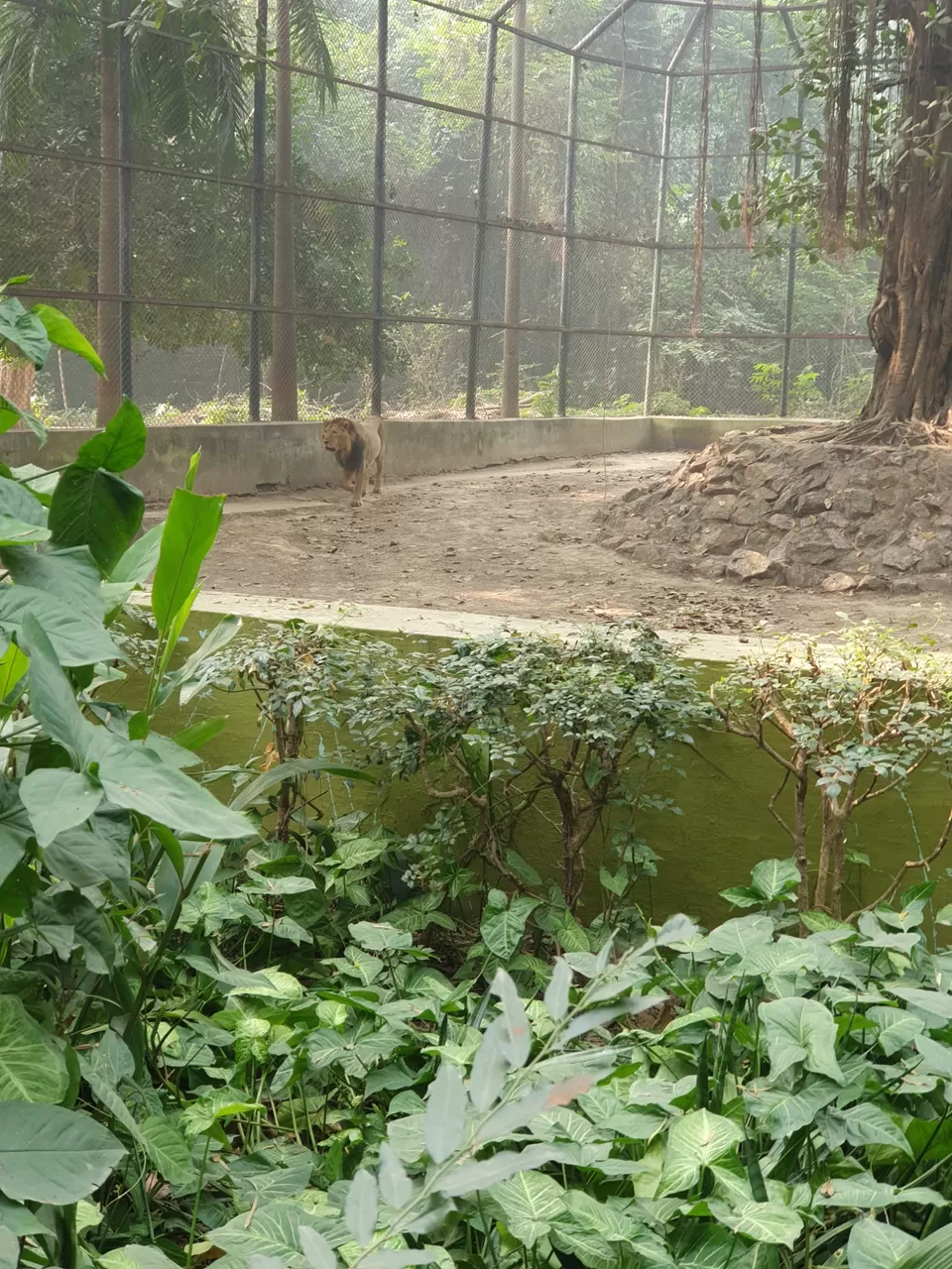 Photo of Sanjay Gandhi Biological Park By akshay kumar