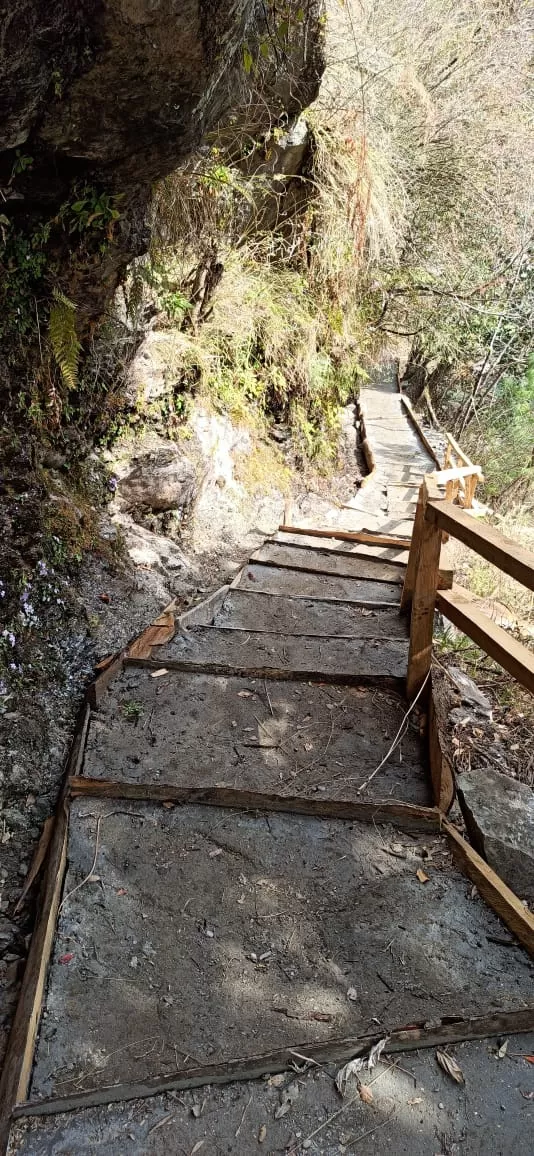 Photo of Tracking tour adventure by Villan Rajpoot