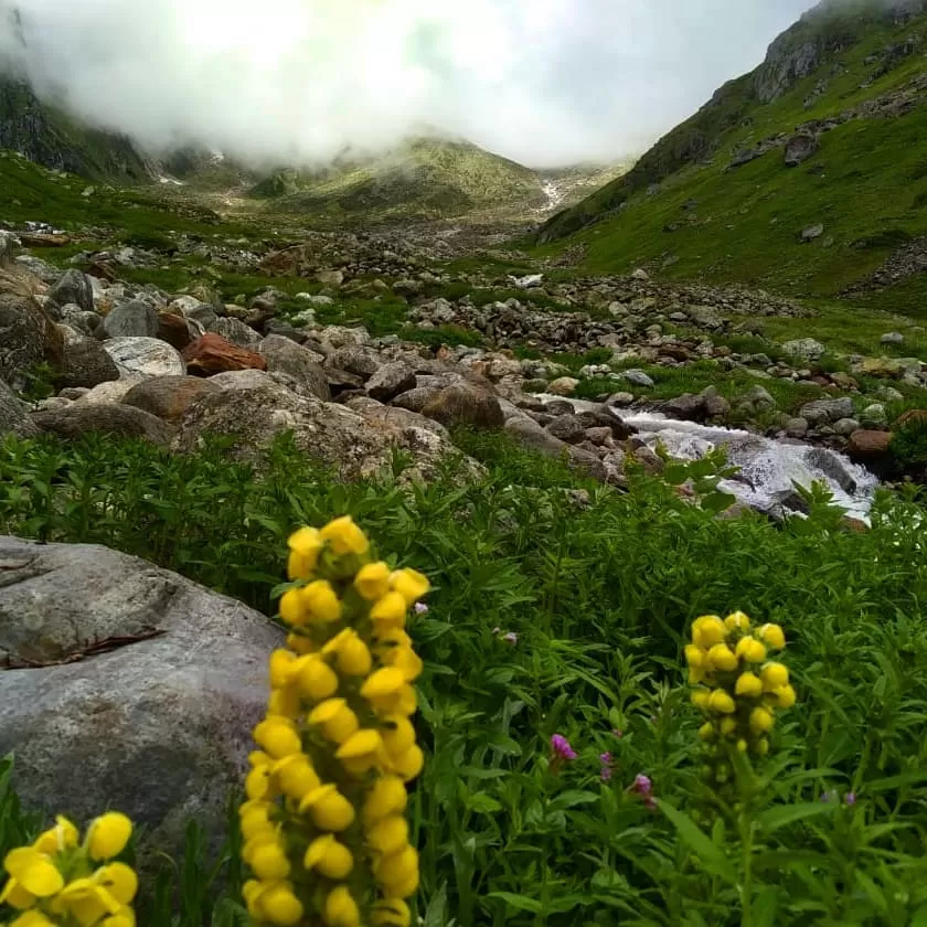 Photo of Tracking tour adventure by Villan Rajpoot