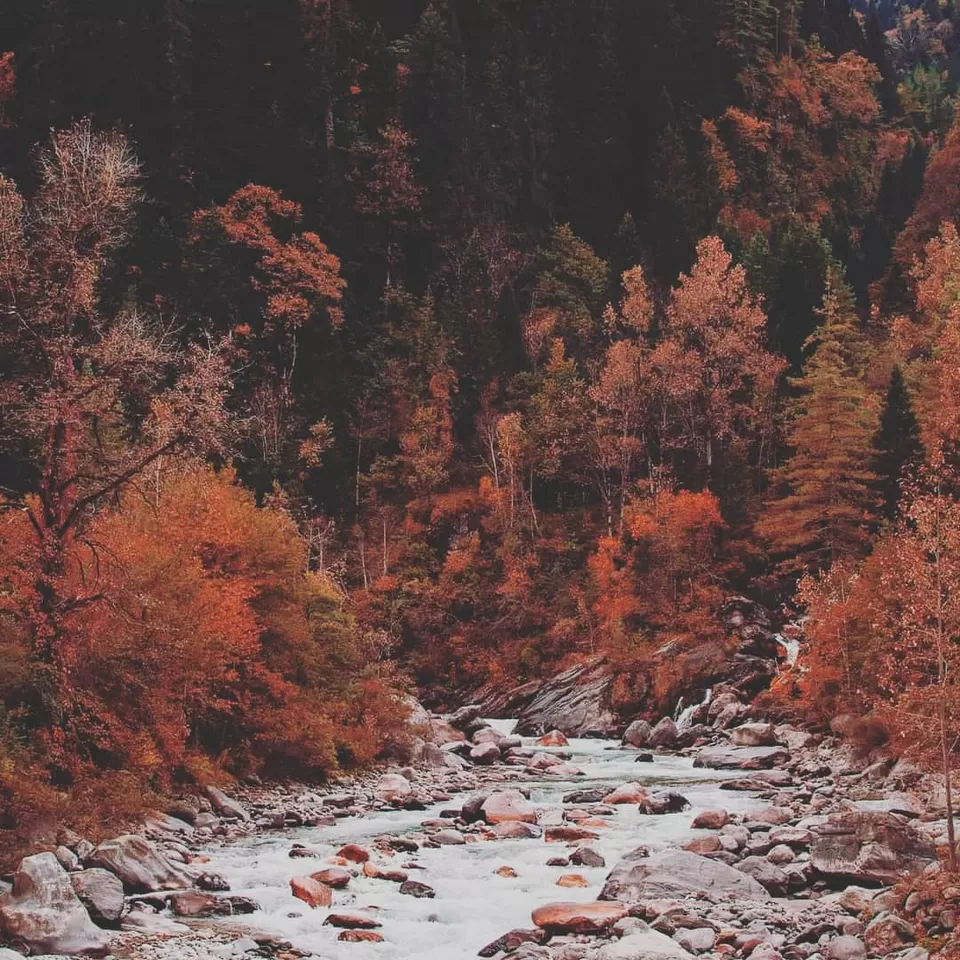 Photo of Tracking tour adventure by Villan Rajpoot