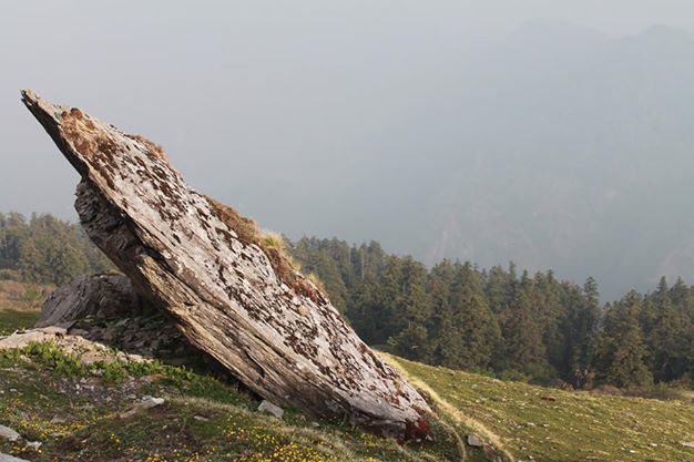 Photo of Chandrashila Trek - 2014 12/20 by Kunsang Pakhrin
