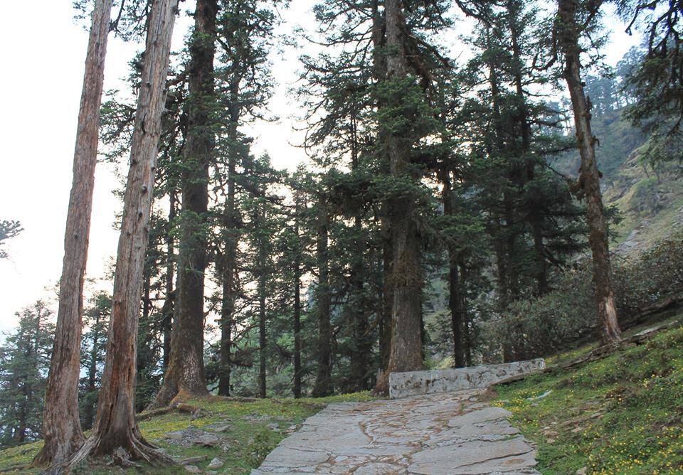Photo of Chandrashila Trek - 2014 7/20 by Kunsang Pakhrin