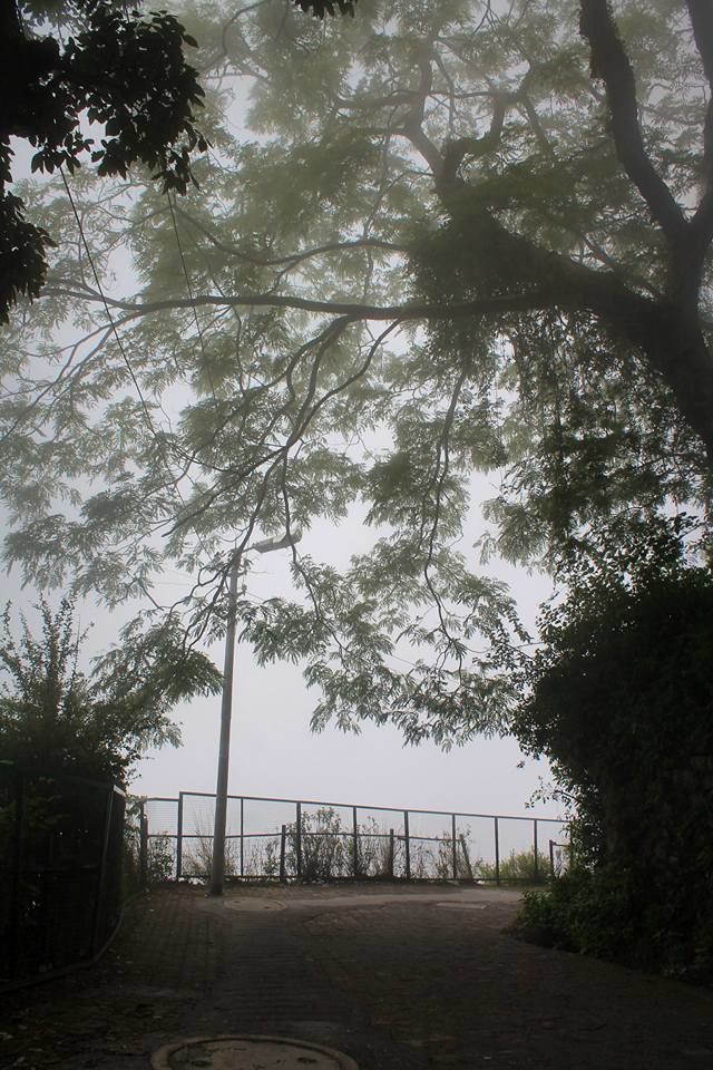 Photo of Road trip to Mussorrie/Dhanaulti and back... 10/15 by Kunsang Pakhrin