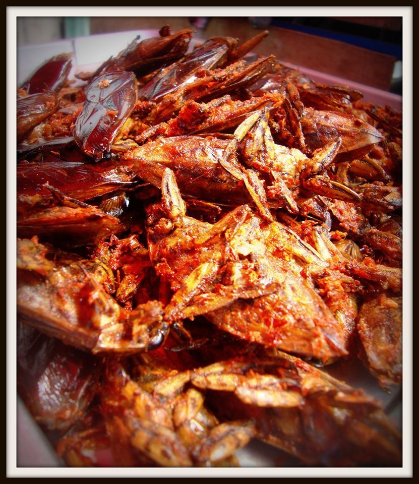 Photo of Thigh-land (Thailand) 5/21 by Kunsang Pakhrin