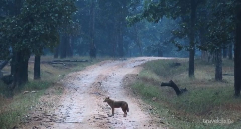Photo of rupyard kiplings mougaly land ; pench tiger reserve by hari s sharma
