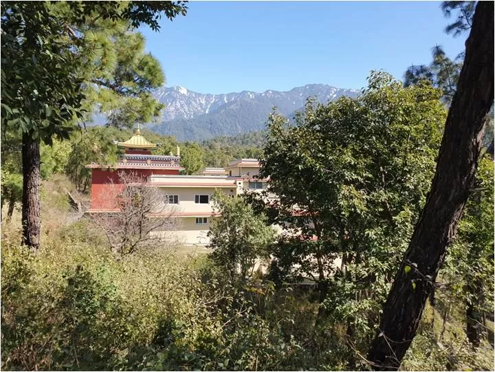 Photo of Baijanath Shiva Mandir, Temple Path, Dharer, Baijnath, Himachal Pradesh, India by Apoorv & Smita
