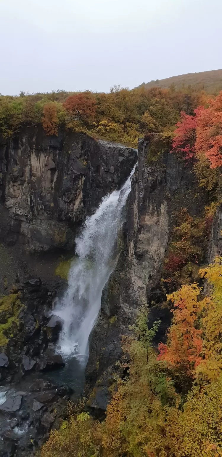 Photo of Svartifoss Waterfall, Iceland by Apoorv & Smita