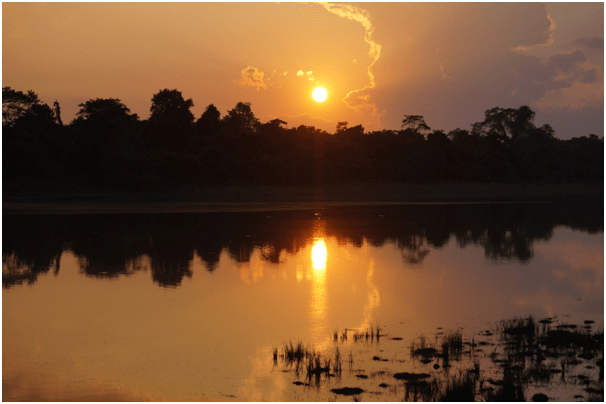 Photo of Highlights of Assam- Forests and tea gardens - The Globetrotters 19/33 by Apoorv & Smita