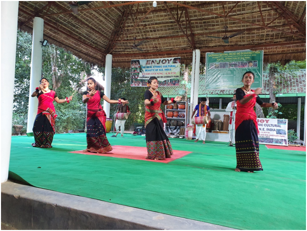 Photo of Highlights of Assam- Forests and tea gardens - The Globetrotters 25/33 by Apoorv & Smita