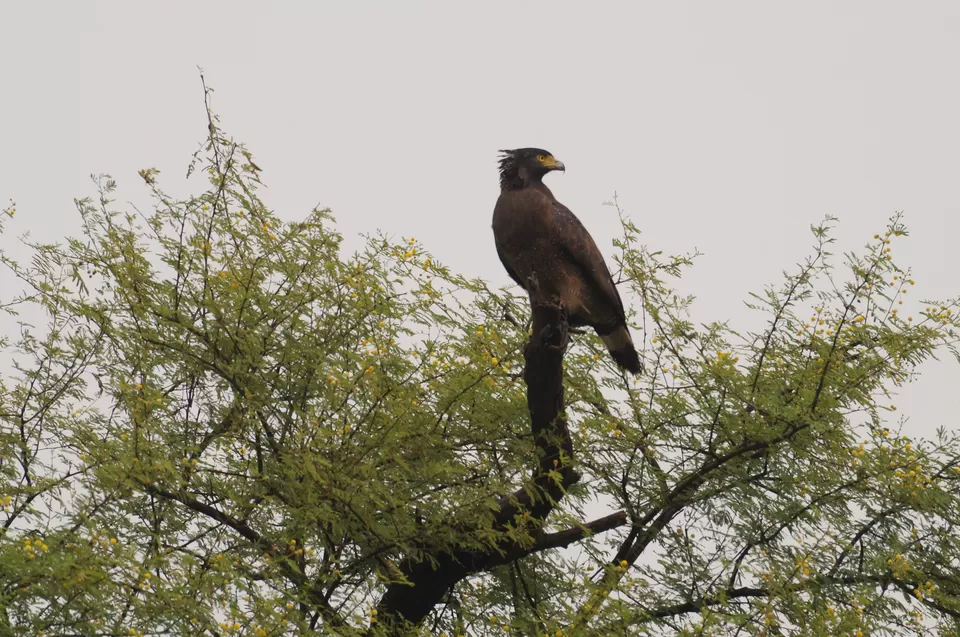 Photo of Bharatpur, Rajasthan, India by Apoorv & Smita