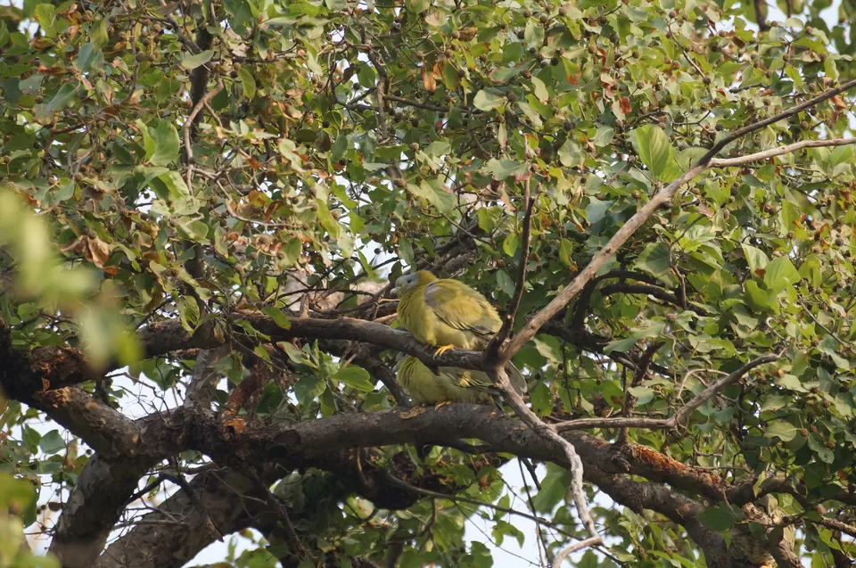 Photo of Bharatpur, Rajasthan, India by Apoorv & Smita