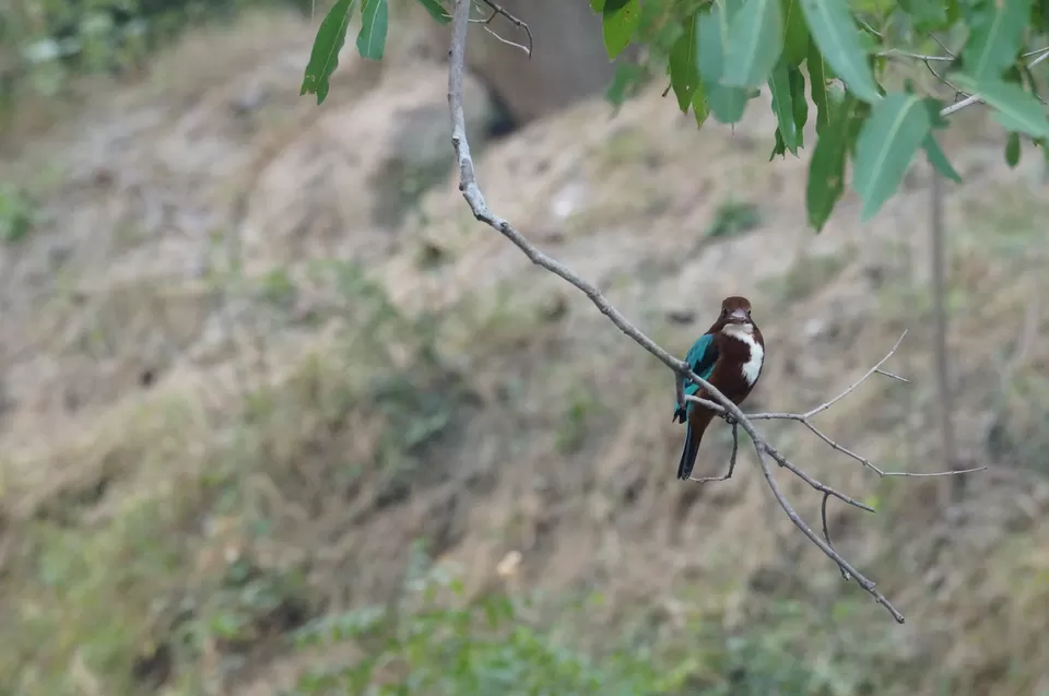 Photo of Bharatpur, Rajasthan, India by Apoorv & Smita